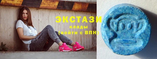 ГАЛЛЮЦИНОГЕННЫЕ ГРИБЫ Гусь-Хрустальный