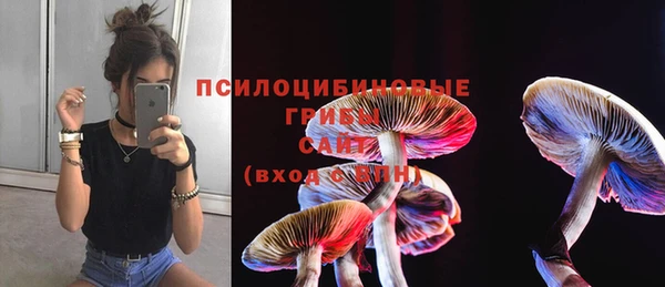 мдпв Гусиноозёрск