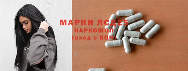 ГАЛЛЮЦИНОГЕННЫЕ ГРИБЫ Гусь-Хрустальный