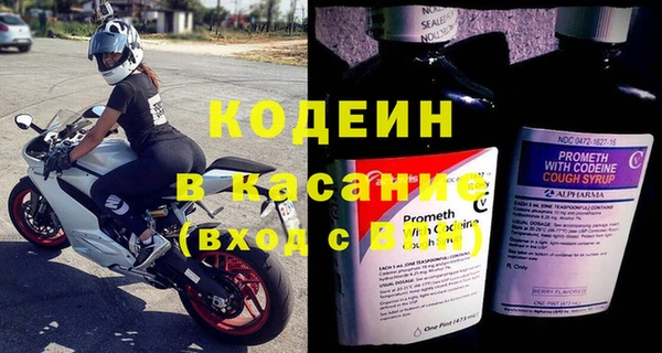 ГАЛЛЮЦИНОГЕННЫЕ ГРИБЫ Гусь-Хрустальный