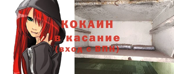ГАЛЛЮЦИНОГЕННЫЕ ГРИБЫ Гусь-Хрустальный
