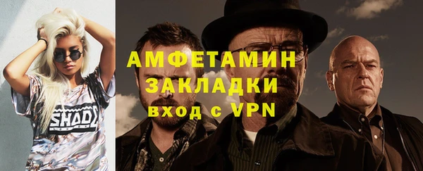 ГАЛЛЮЦИНОГЕННЫЕ ГРИБЫ Гусь-Хрустальный