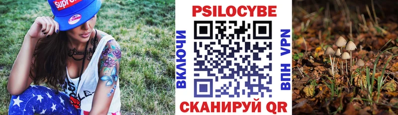 Галлюциногенные грибы Psilocybe где купить наркоту это как зайти Орск
